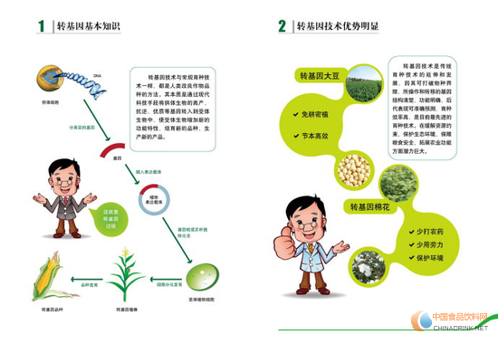 轉(zhuǎn)基因的基本知識(shí)和技術(shù)優(yōu)勢