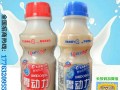 340ml傳暢胃動力乳酸菌飲料廠家招商招代理