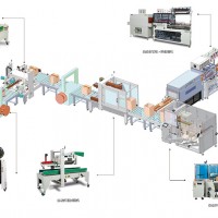 食品自動包裝生產(chǎn)線 自動化食品包裝生產(chǎn)線廠家定制