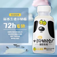 團(tuán)友小奶狗風(fēng)味乳酸菌網(wǎng)紅低脂肪飲品